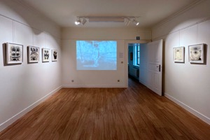 Videoinstallation songline und Zeichnungen Sonderschaftler