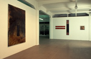 Pools of shadow and deep sun, Schellack, Pigment auf Leinwand, 220 x 160 cm